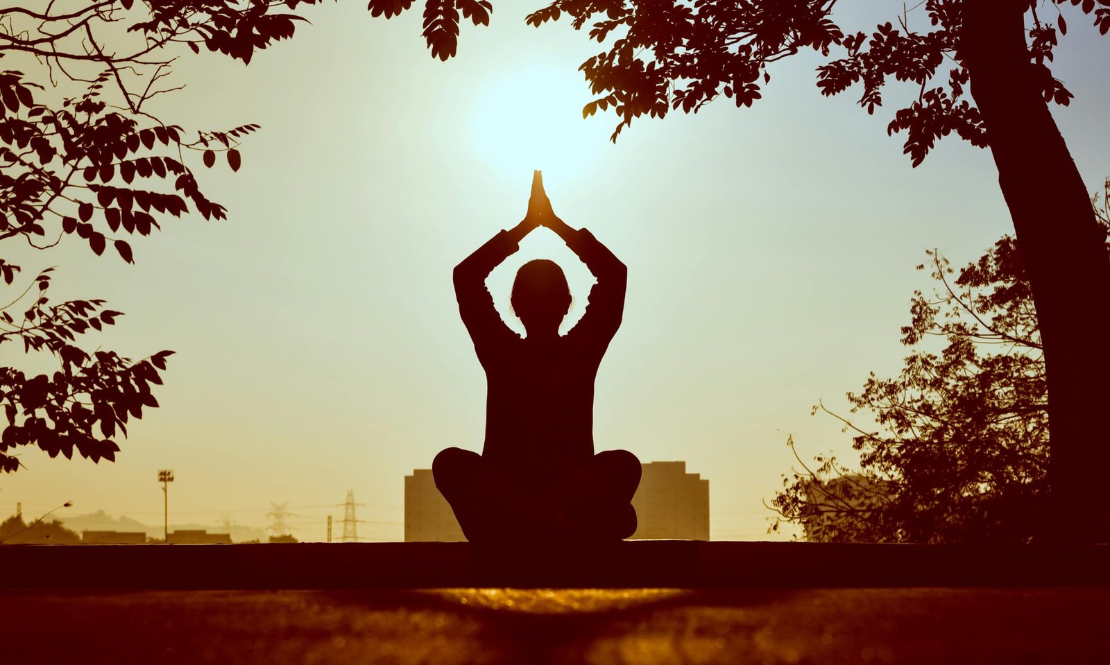Comment devenir adepte du yoga et de la méditation ?